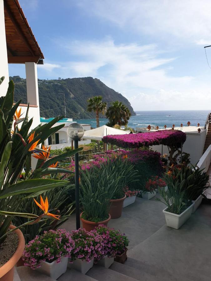 Villa Loreta Forio di Ischia Eksteriør bilde